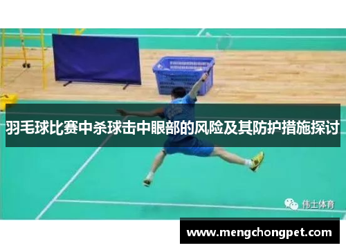 羽毛球比赛中杀球击中眼部的风险及其防护措施探讨