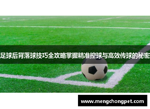 足球后背落球技巧全攻略掌握精准控球与高效传球的秘密