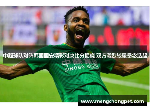 中超球队对阵韩国国安精彩对决比分揭晓 双方激烈较量悬念迭起